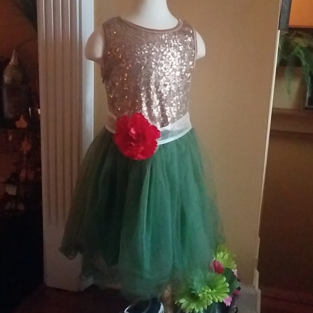 Sequins ballerina style dress.